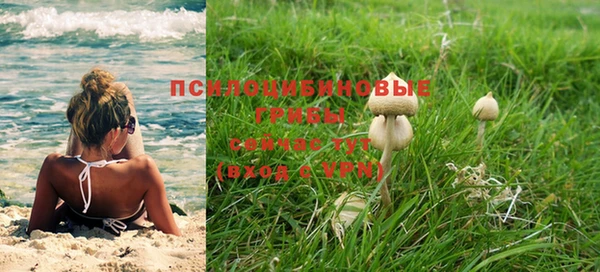 apvp Аркадак