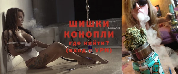 тгк Новодвинск