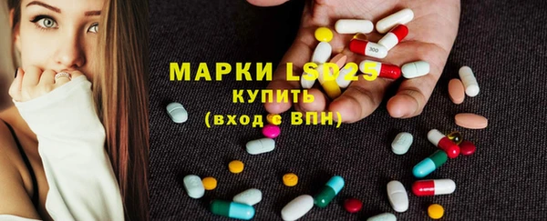 apvp Аркадак
